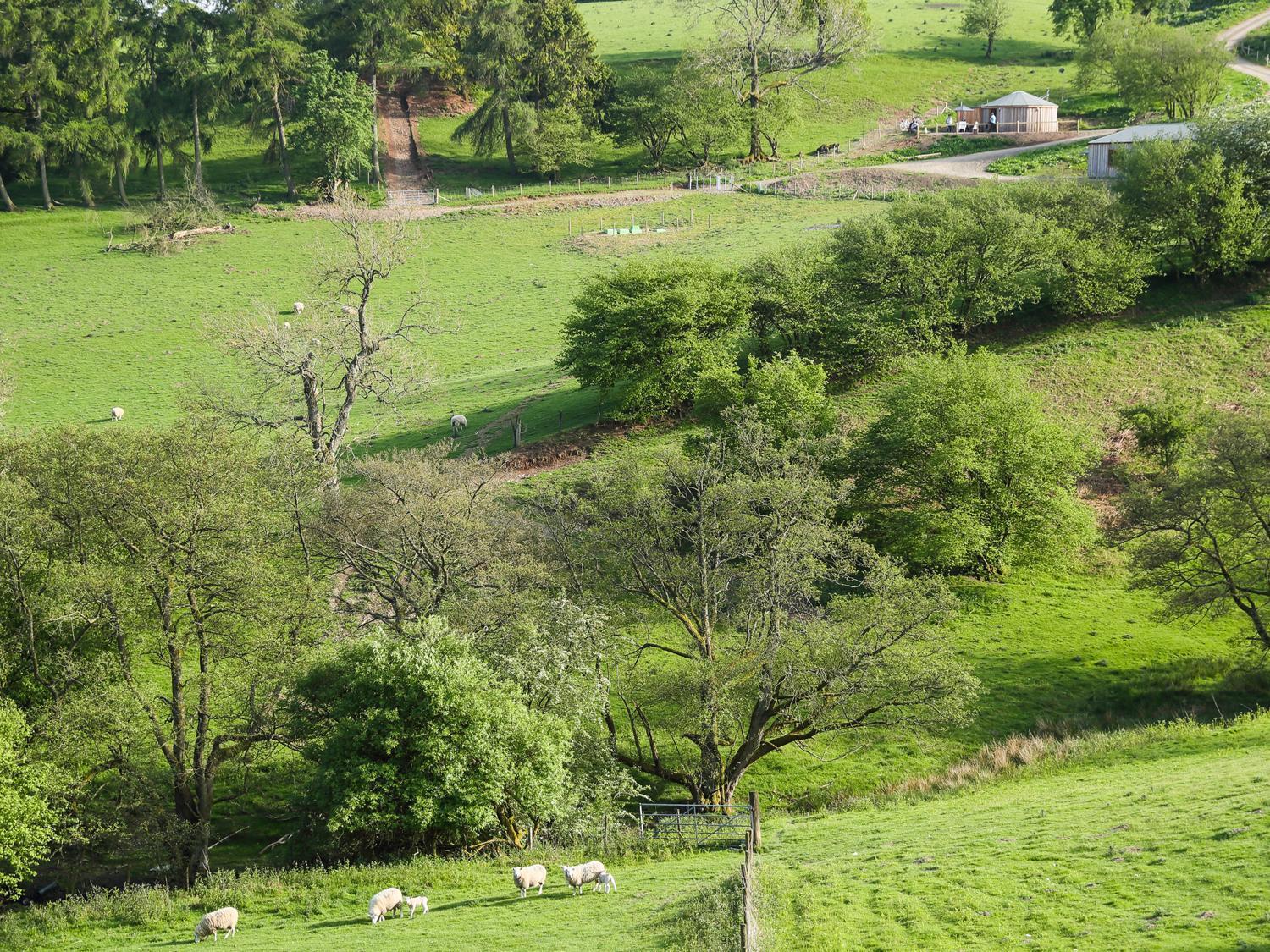 Rolling Hills Βίλα Newcastle  Εξωτερικό φωτογραφία