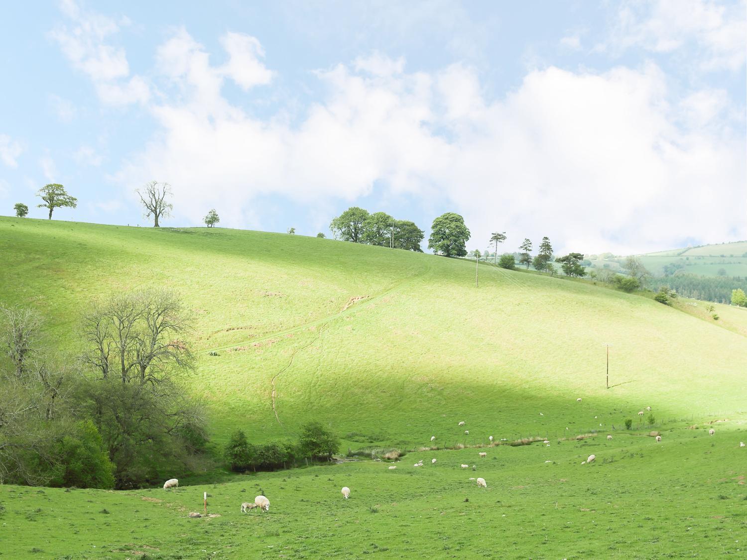 Rolling Hills Βίλα Newcastle  Εξωτερικό φωτογραφία