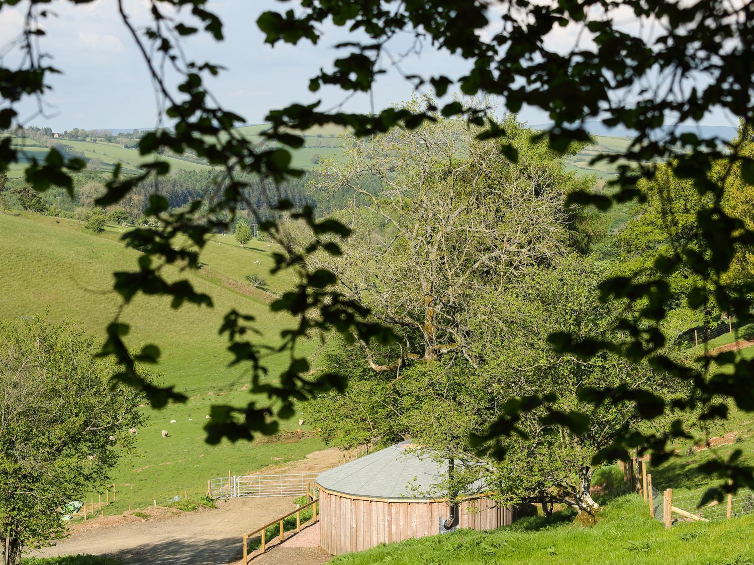 Rolling Hills Βίλα Newcastle  Εξωτερικό φωτογραφία